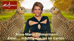 Anna-Maria Zimmermann Haustiere
