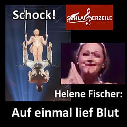 Helene Fischer, Unfall, Konzertabbruch