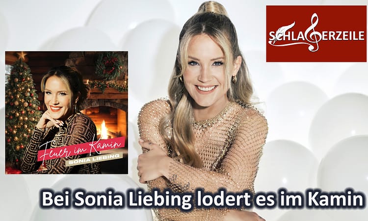Feuer im Kamin, Sonia Liebing
