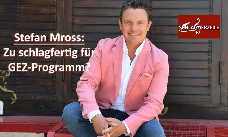 Stefan Mross, Strafbefehl