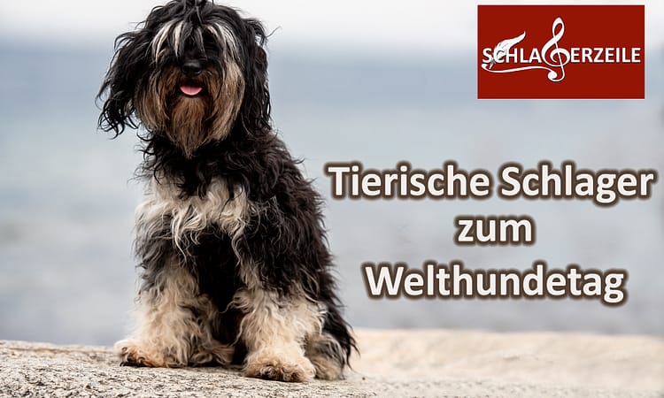 Schlager zum Welthundetag